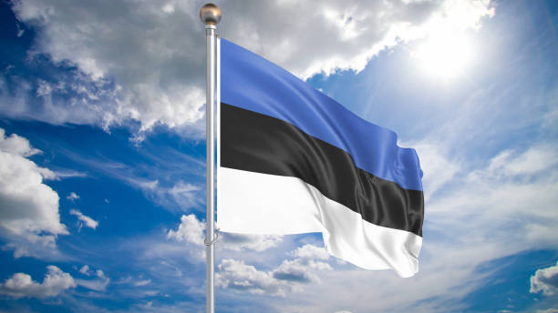 Эстония перенесла дату «вторжения» России на территорию Украины