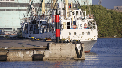 Морские порты Эстонии и Бельгии закрыты для российских судов