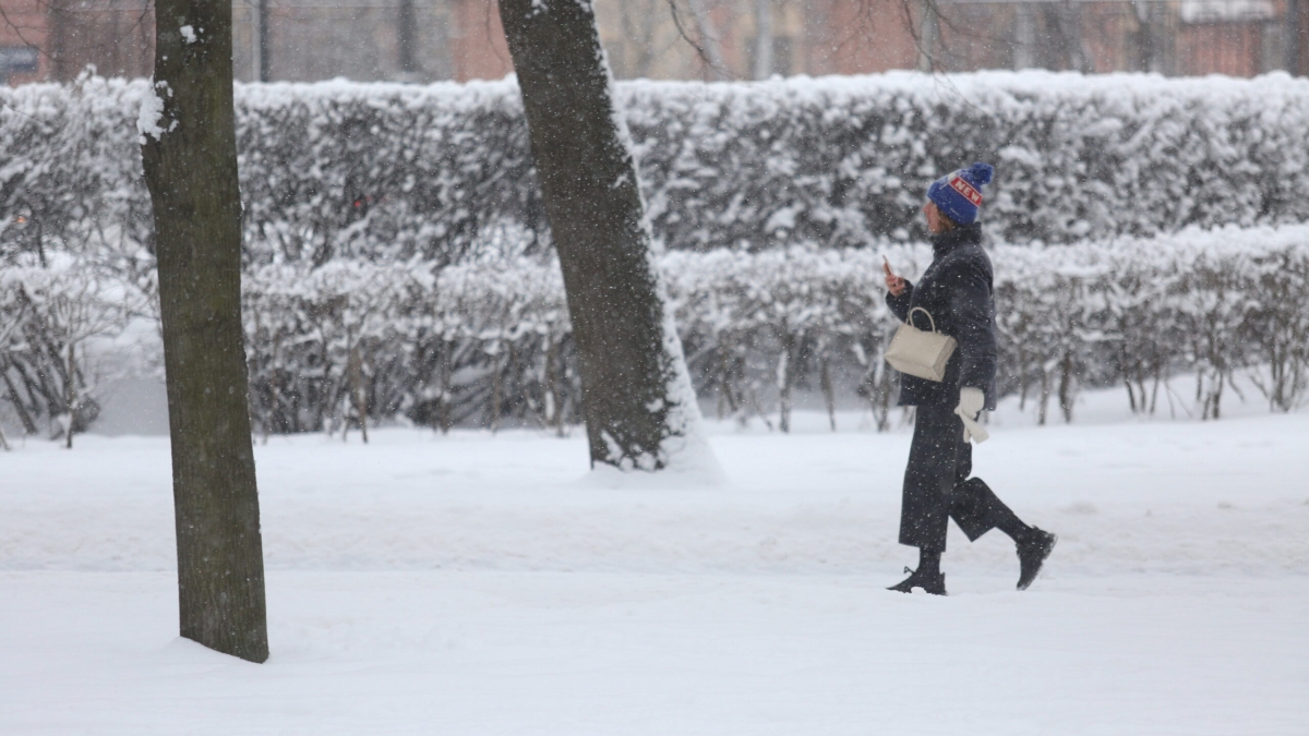 Синоптик рассказал о возвращении в Санкт-Петербург зимних осадков