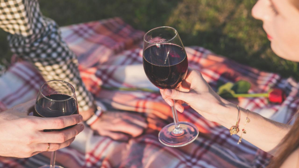 Ученые: сухое вино помогает в профилактике остеопороза и ожирения
