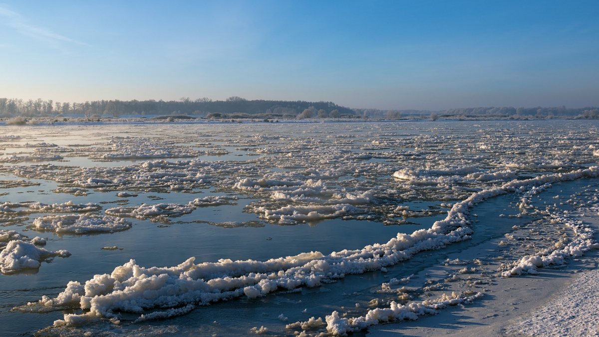 Петербургские экстремалы угнали льдину в Финском заливе