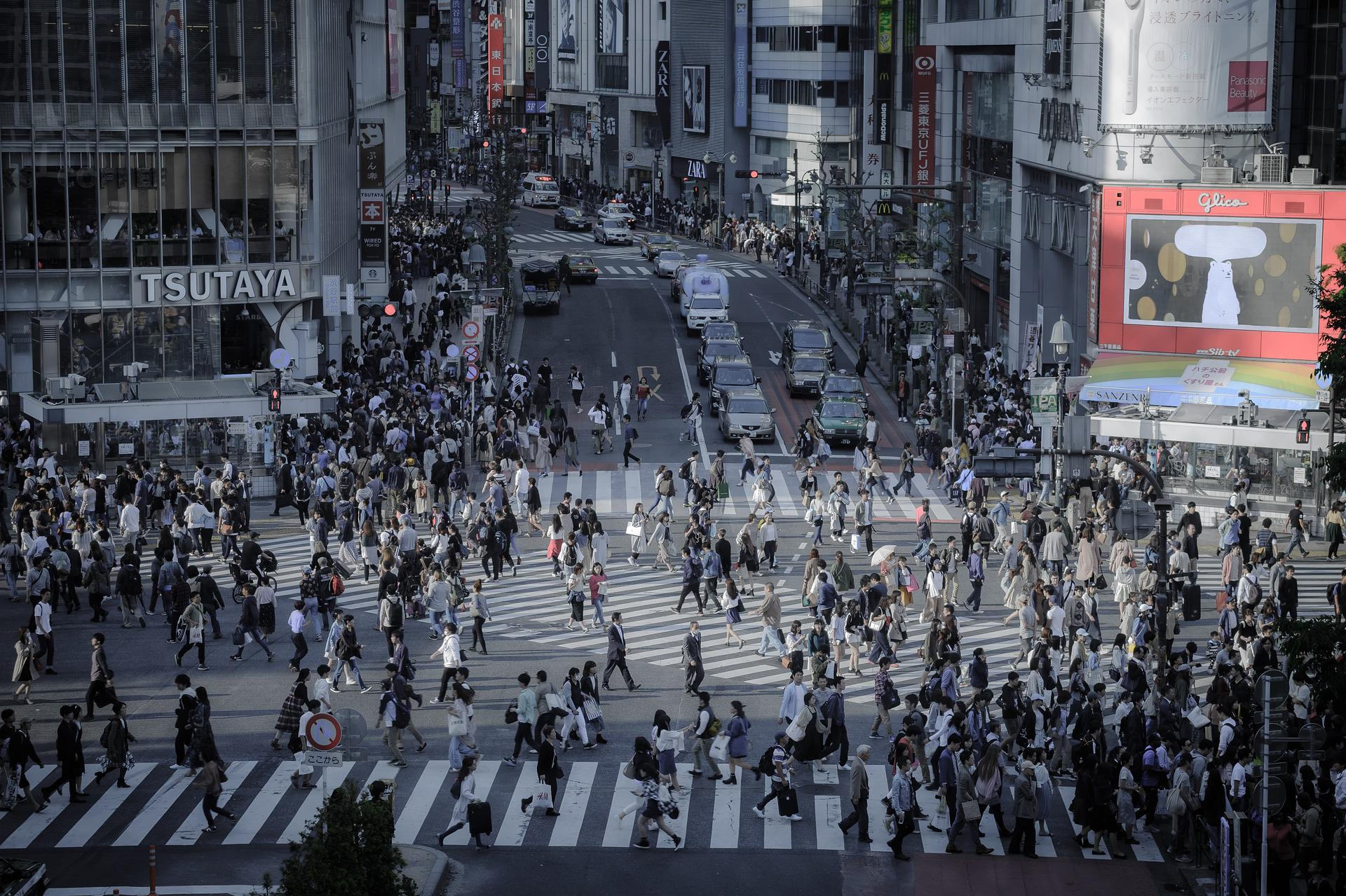 В Японии изучат влияние антироссийских санкций на жизнь граждан и ведение бизнеса в стране