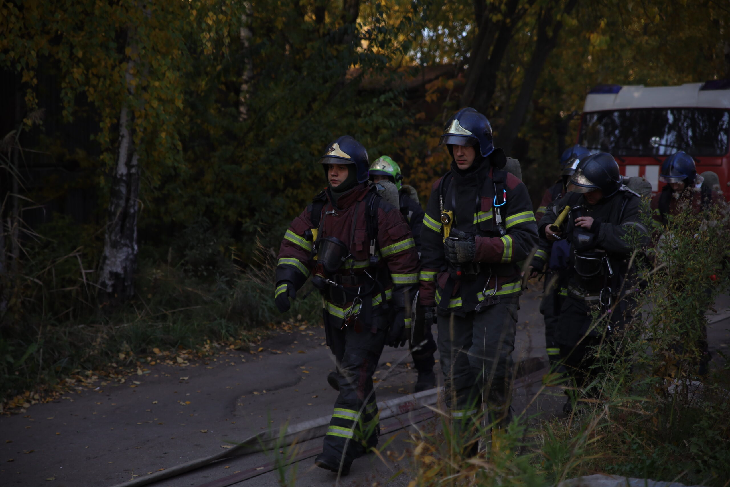 МЧС: в России наметилось снижение числа природных пожаров