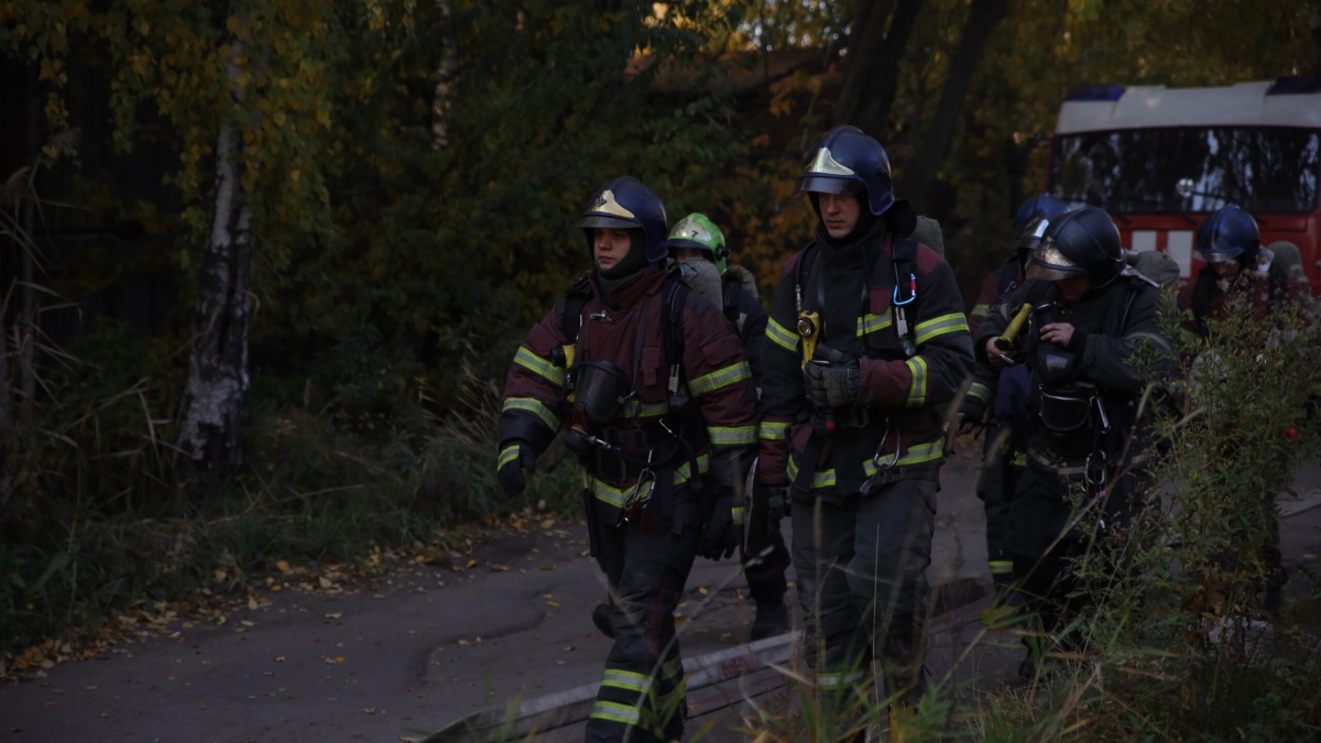 МЧС: в России наметилось снижение числа природных пожаров