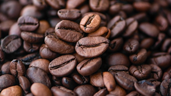 Три кружки кофе в день могут навредить вашим почкам — исследование
