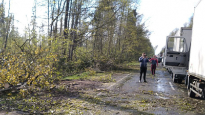 Жуткий ветер лишил света 1,5 тыс. населенных пунктов Беларуси