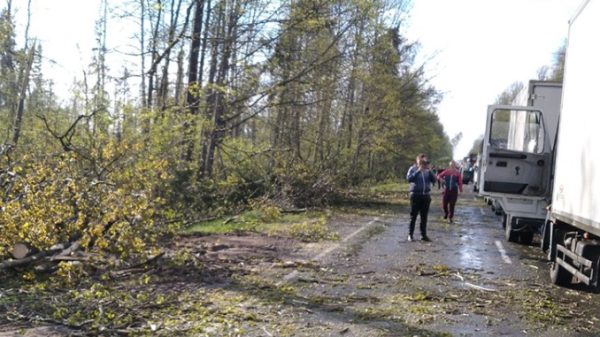 Жуткий ветер лишил света 1,5 тыс. населенных пунктов Беларуси
