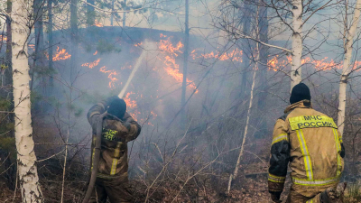 В Курганской области началась эвакуация деревень из-за пожаров