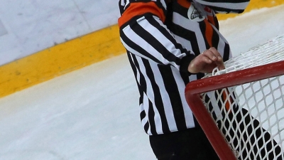 Хоккеист Николай Ризин стал фигурантом уголовного дела за избиение судьи