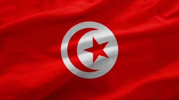 Победа сборной Туниса над Францией не обеспечила выход в плей-офф Чемпионата Мира 2022