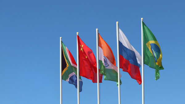 13 стран желают вступить в БРИКС – посол ЮАР