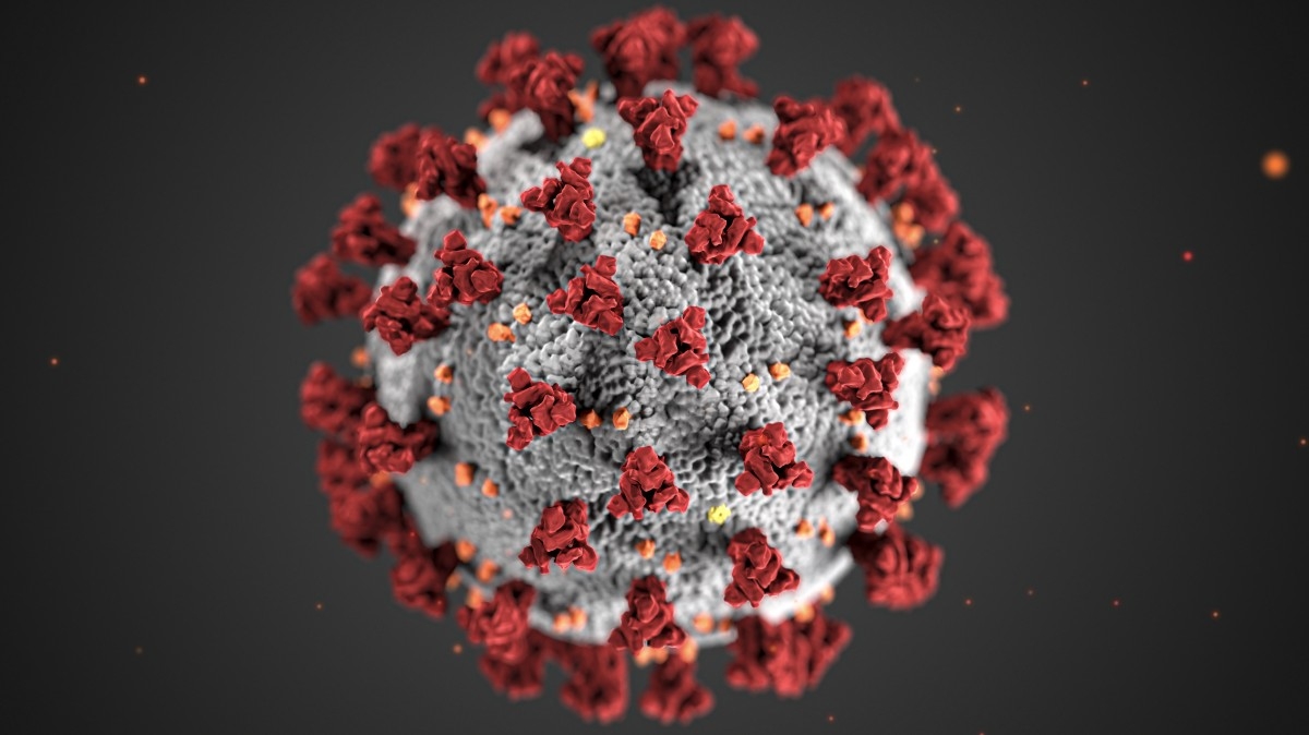Иммунитет от коронавируса сохраняется на протяжении 10 месяцев