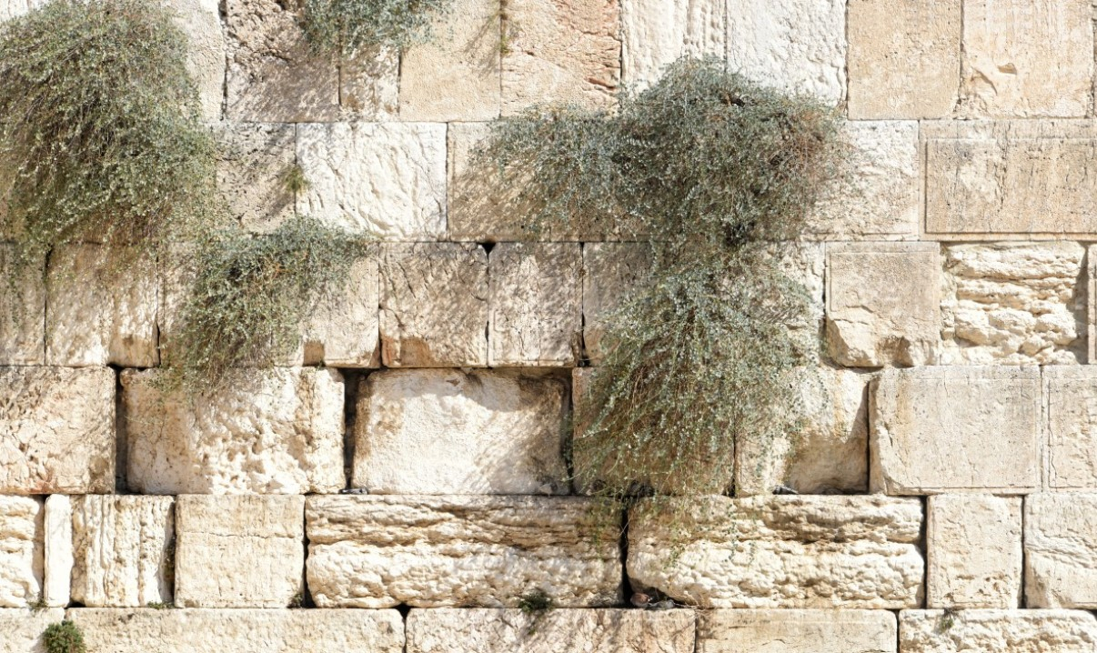 В Иерусалиме в ходе раскопок учёные нашли загадочный отпечаток руки