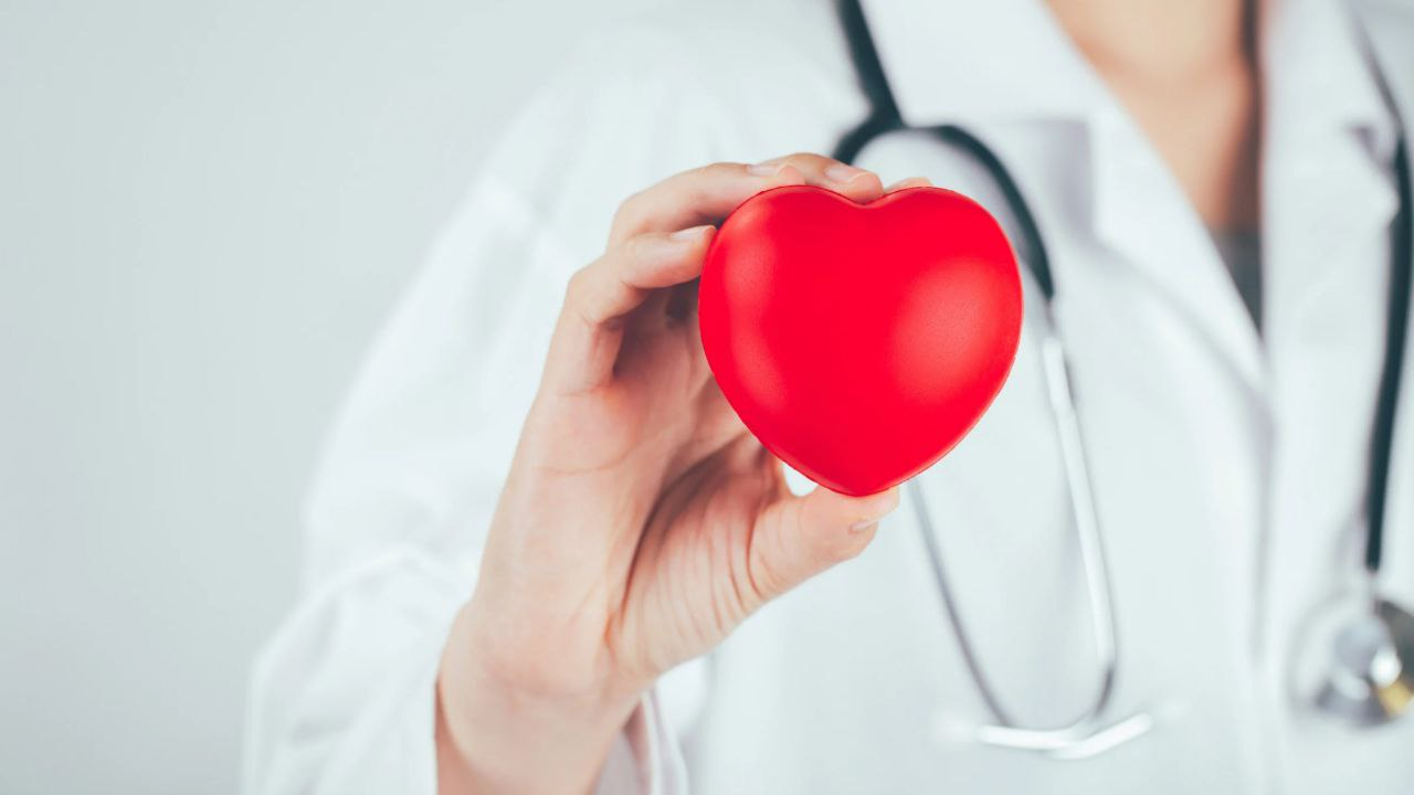Российские учёные придумали контейнер для продолжительного хранения донорского сердца
