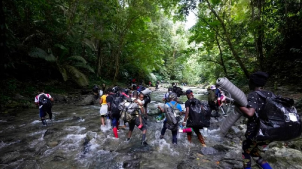 Мигранты из Панамы массово бегут в США через «смертоносные джунгли»
