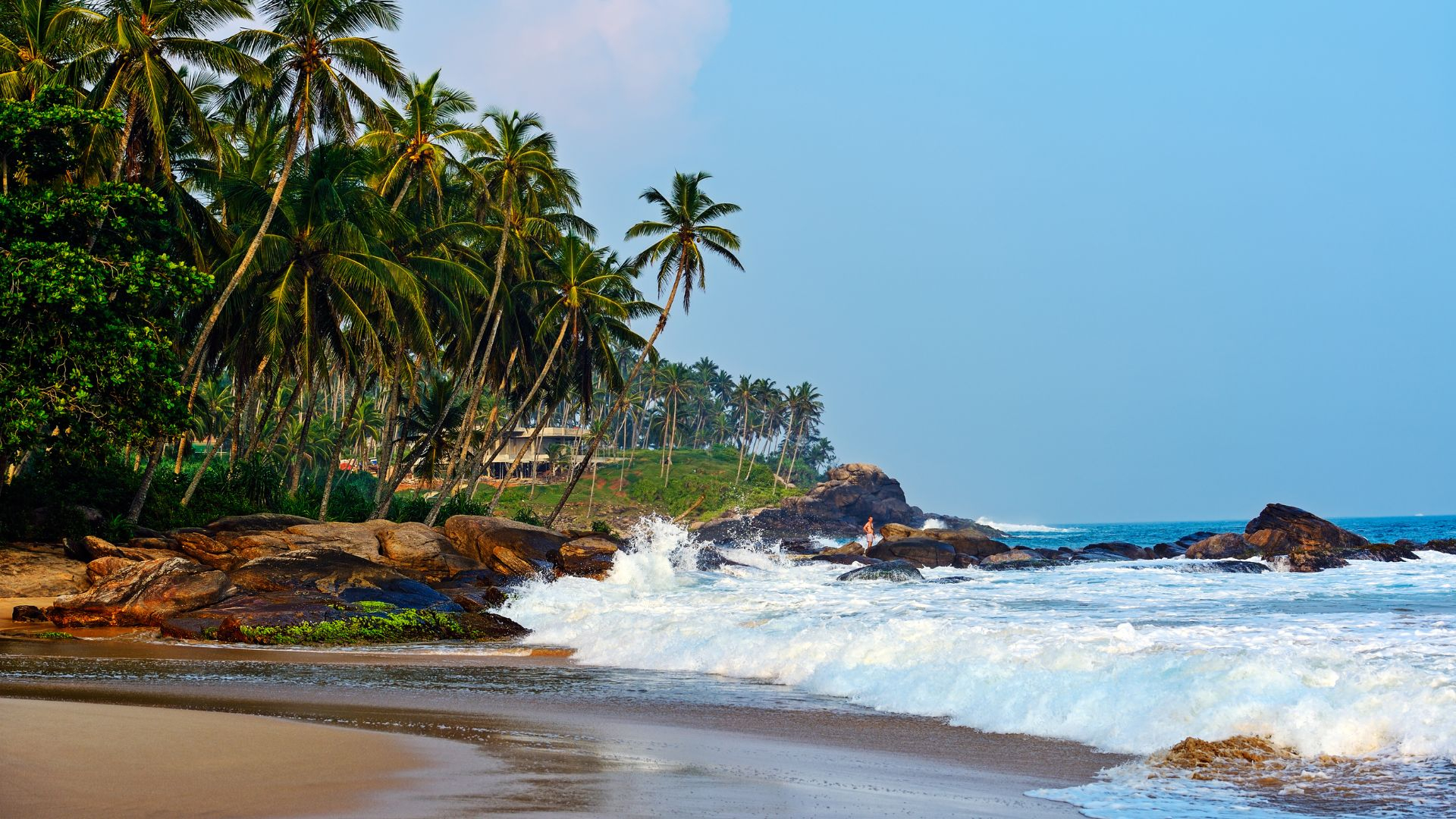 Coconut Palm Beach Шри-Ланка. Выланка.
