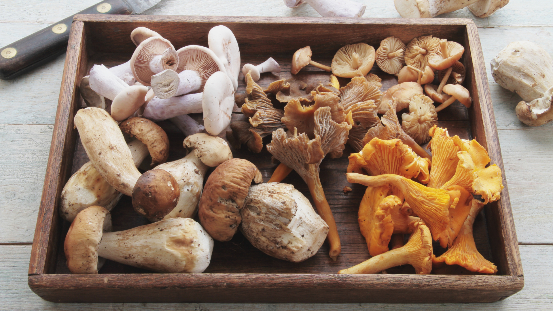 Обнаружены забытые бабушкины рецепты заготовки на зиму вкуснейших грибов