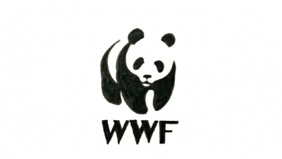 Все письма в защиту российского WWF назвали «пиаром»: в Минюсте назвали законным решение о признании фонда иноагентом