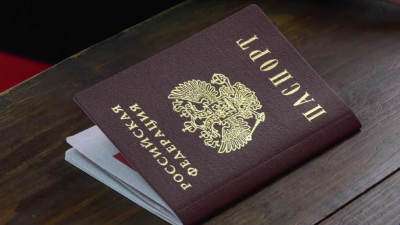 Либерал-демократы предложили отправлять за решетку россиян, которые сжигают свои паспорта