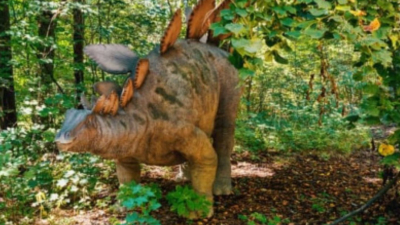 Ученые обнаружили останки «бронированного» динозавра на британском острове Уайт