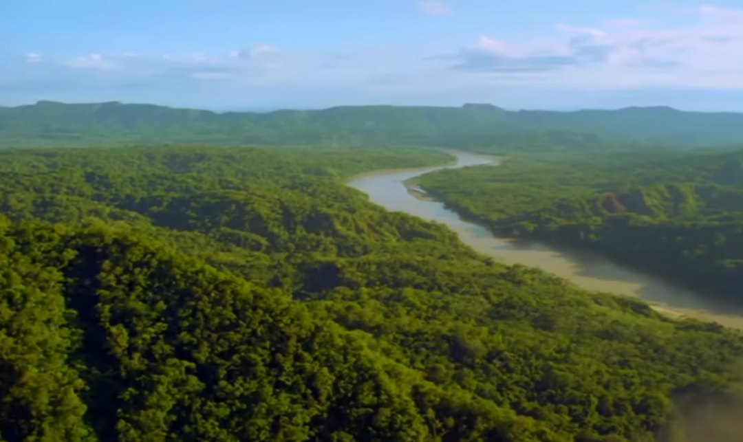 Тропические леса Амазонки находятся под угрозой уничтожения