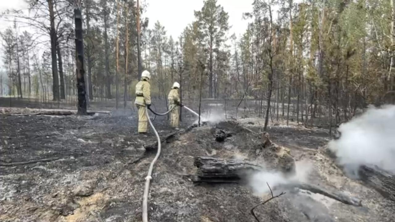 На крупном лесном пожаре на востоке Казахстана погибли 14 человек