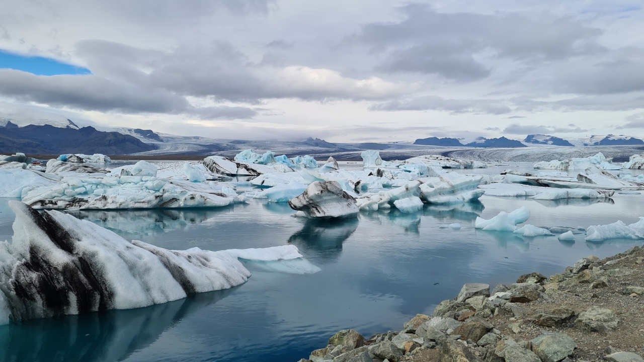 К середине века на Арктике не останется льда