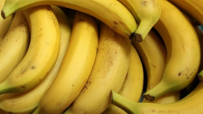 В питерском порту нашли 50 кг кокаина, спрятанного в бананах
