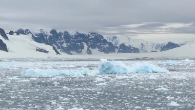 Самый большой айсберг в мире попал на «кладбище» у берегов острова Южная Георгия