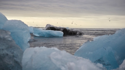 Ученые заявили об опасности таяния арктического льда
