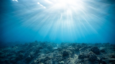 Ученые обнаружили новую экосистему на дне Тихого океана