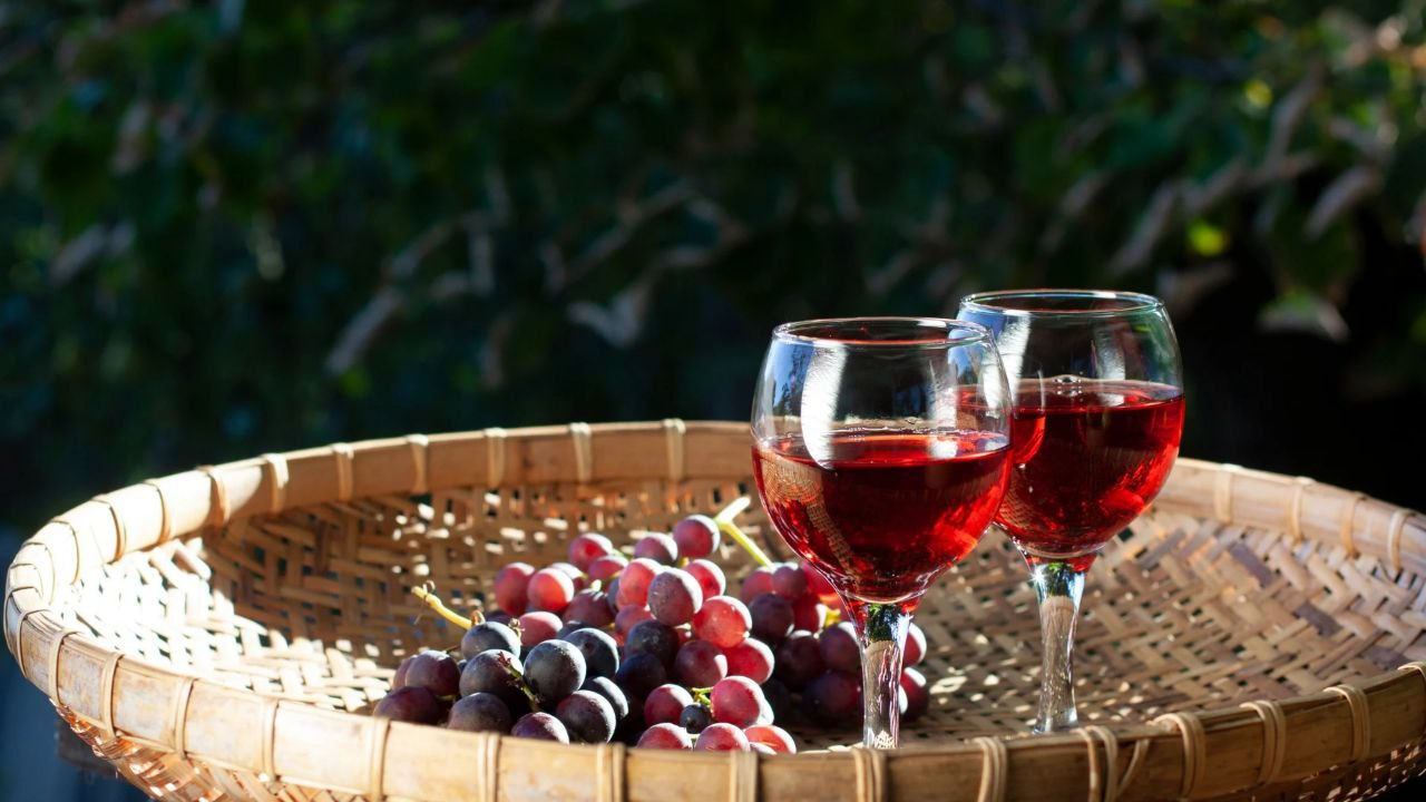На радость Дионису: в России произвели 422 тысячи литров вина за первые полгода