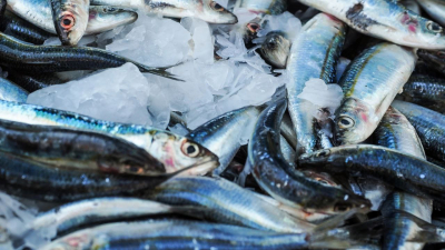 5 продуктов, которыми можно заменить рыбу из «недружественных стран»