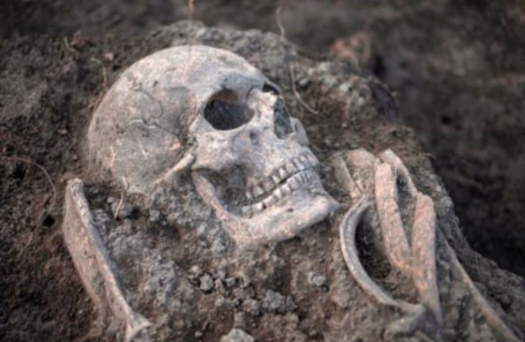 Археологи в Австрии вскрыли чумные захоронения, которым 4 тысячи лет. Сколько живет смертельный вирус?