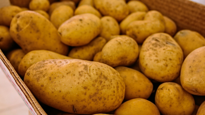 Как собрать урожай картофеля: советы агронома Людмилы Шубиной