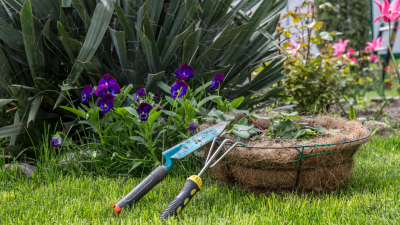 4 задачи садоводов, которые нужно успеть сделать до осени