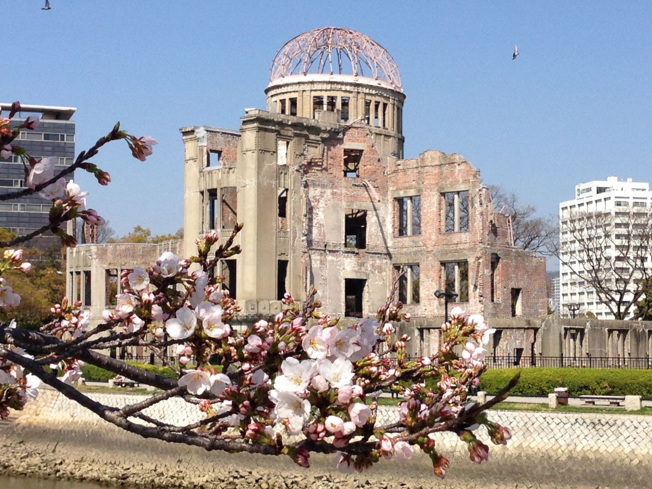 В Хиросиме умолчали об ответственности США во время митинга в память о погибших в атомной бомбардировке