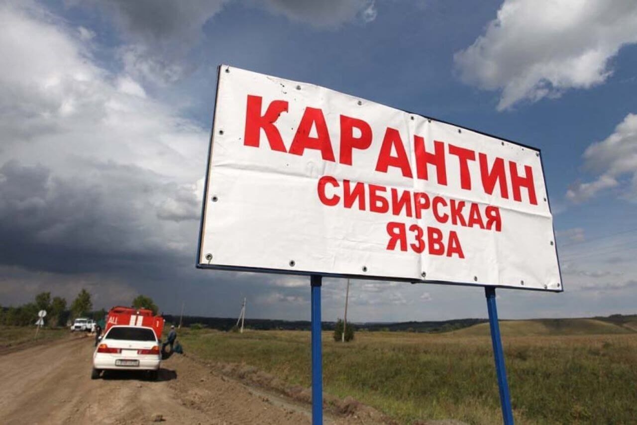 Сибирскую язву нашли в Воронежской области, введен режим ЧС