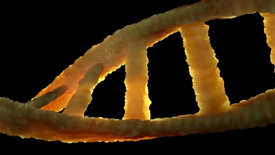 Швейцарские ученые нашли ключ к управлению человеческой ДНК с помощью электричества