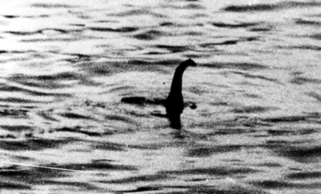 Зоологи обнаружили в озере Лох-Несс доказательства существования Несси