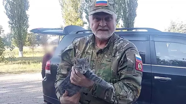 Симба нашел новый дом: Мать погибшего бойца приютила у себя его котенка из зоны СВО