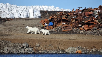 Эколог Ершова выявила «главных виновников» загрязнения Русской Арктики