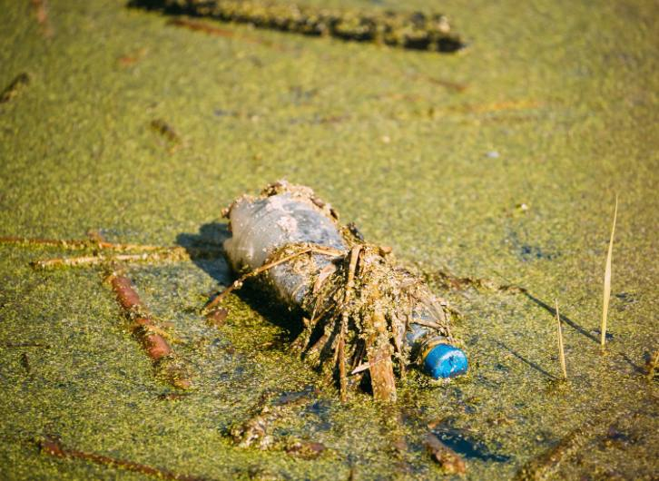 Новая разработка биоинженеров поможет убрать Большое мусорное пятно в океане