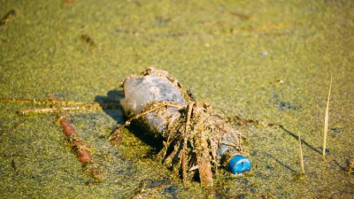 Новая разработка биоинженеров поможет убрать Большое мусорное пятно в океане