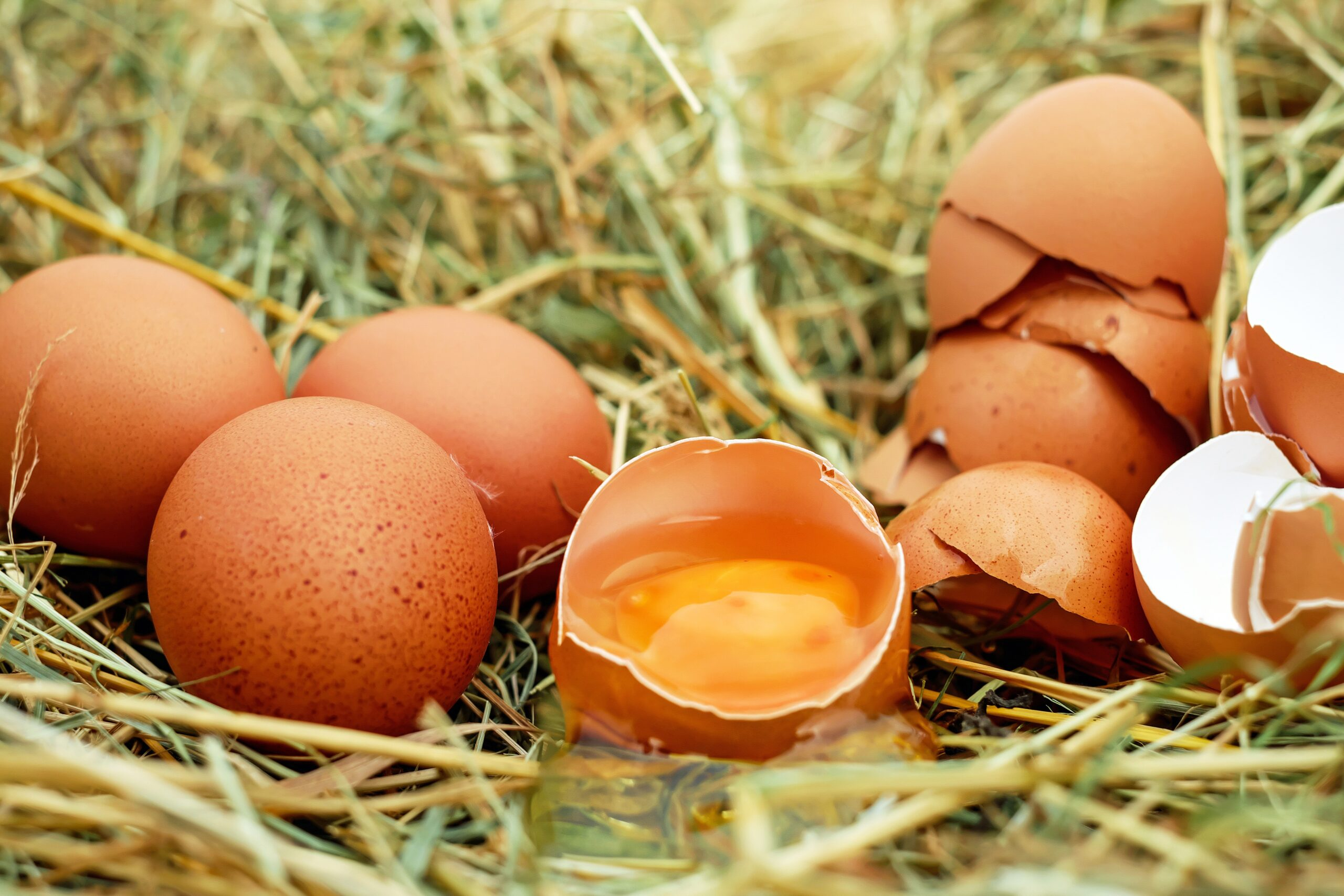 Польза трех яиц в день подтверждена учеными Университета Йель