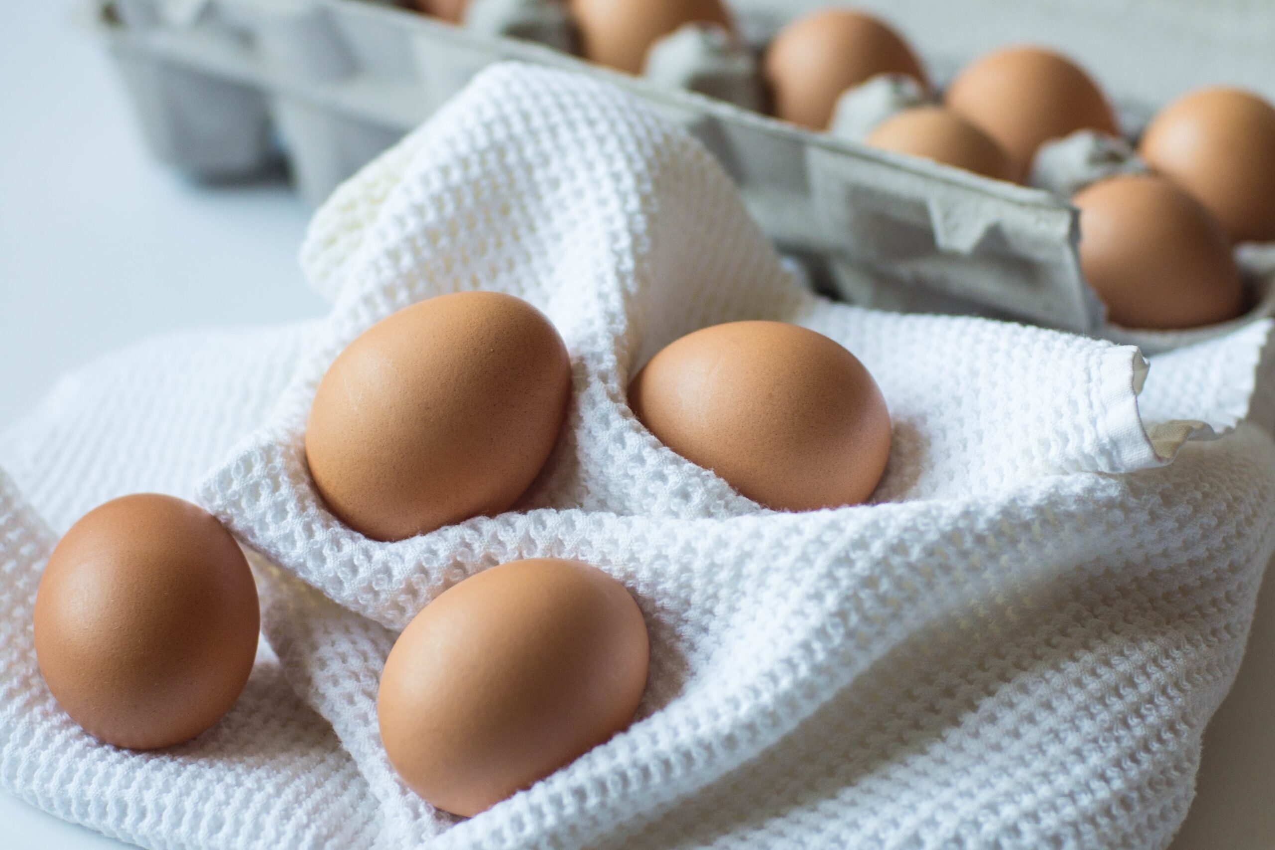 Ученые из Университета Коннектикута выяснили, как яйца влияют на холестерин