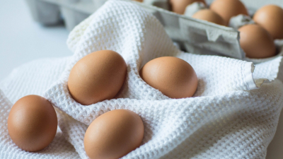 Ученые из Университета Коннектикута выяснили, как яйца влияют на холестерин