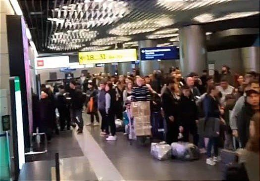 Хаос во Внуково: Из-за сломанных багажных лент паникуют пассажиры и задерживаются рейсы