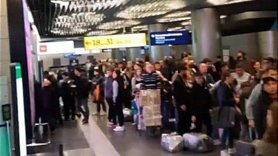 Хаос во Внуково: Из-за сломанных багажных лент паникуют пассажиры и задерживаются рейсы