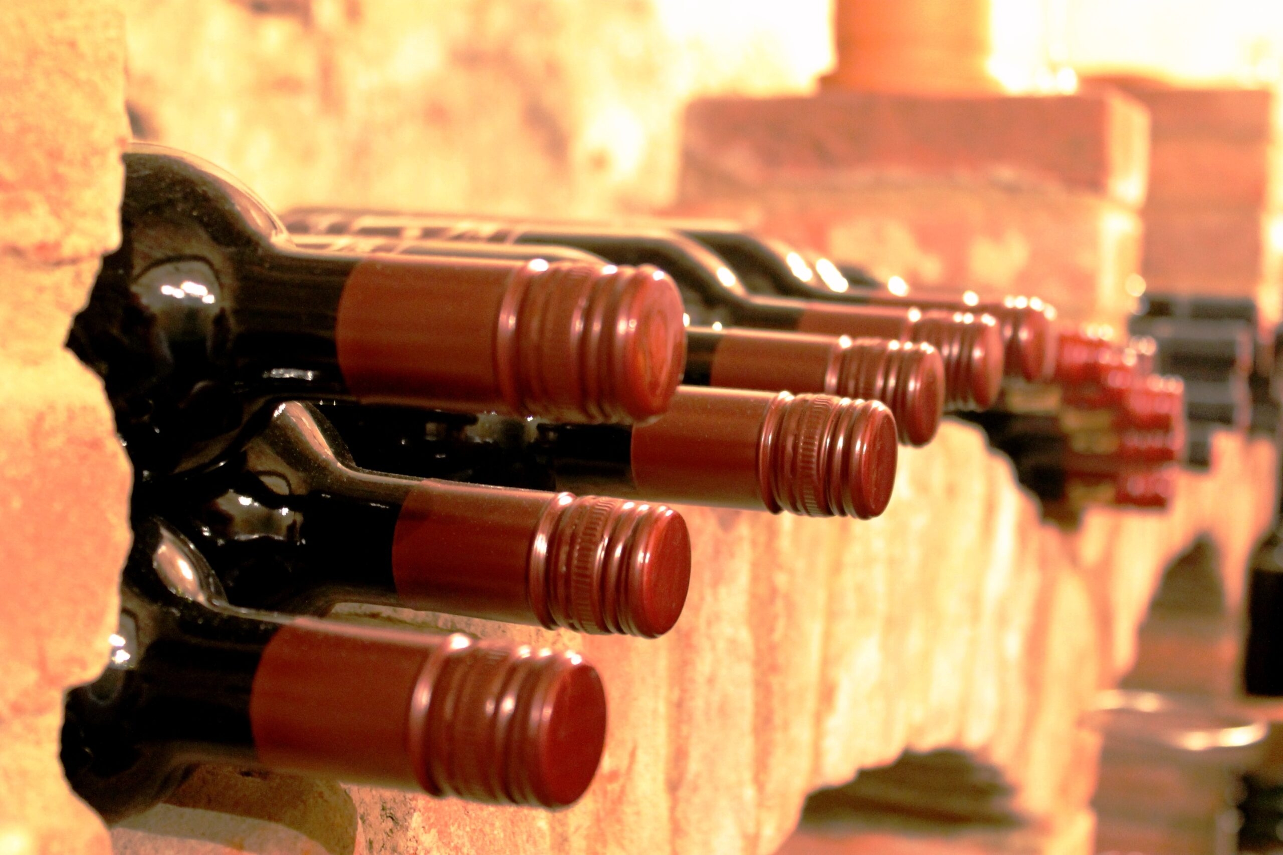 4 повода, почему стоит начать пить вино — исследование ученых